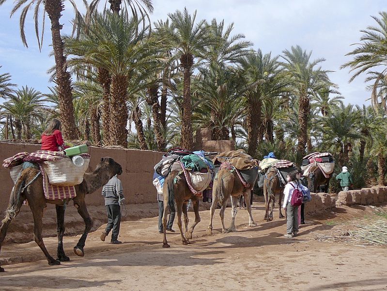 Amskou Hotel El Kelaa Mgouna Riad El Kelaa Mgouna :  loisirs